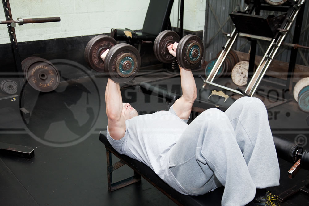 Flat Dumbbell Flyes