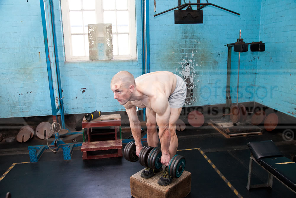 Dumbbell Stiff-Leg Deadlifts