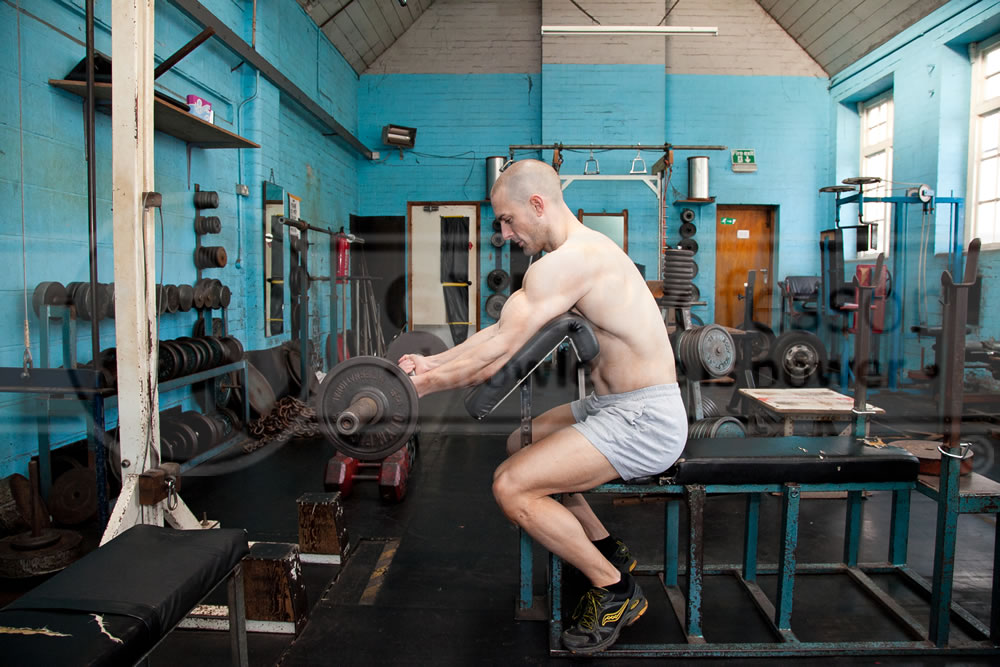 Barbell Preacher Curls
