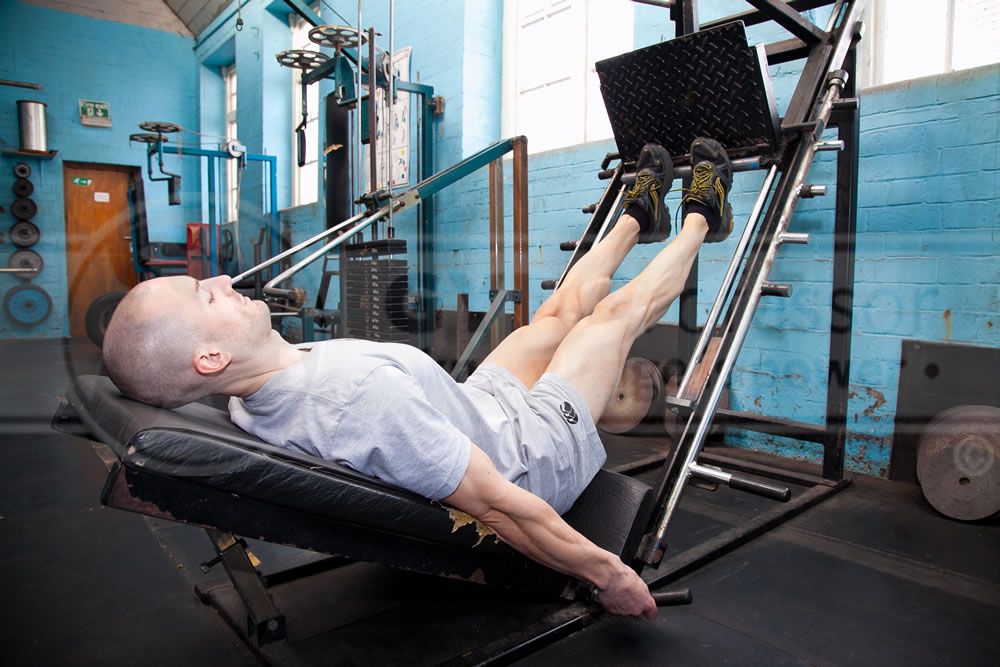 45 Degree Leg Press Calf Raises
