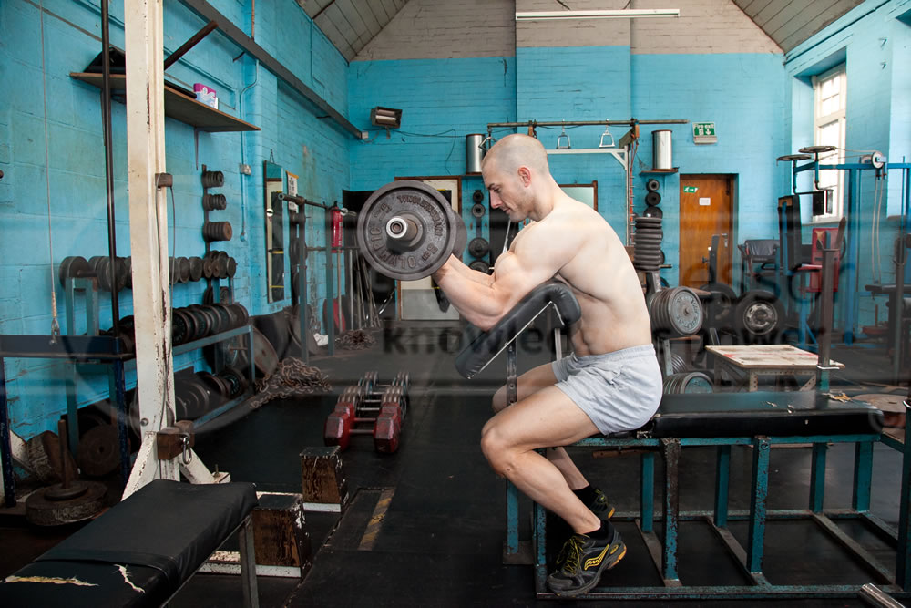 Barbell Preacher Curls