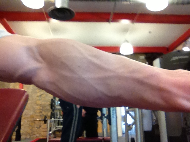 forearm-in-gym.JPG