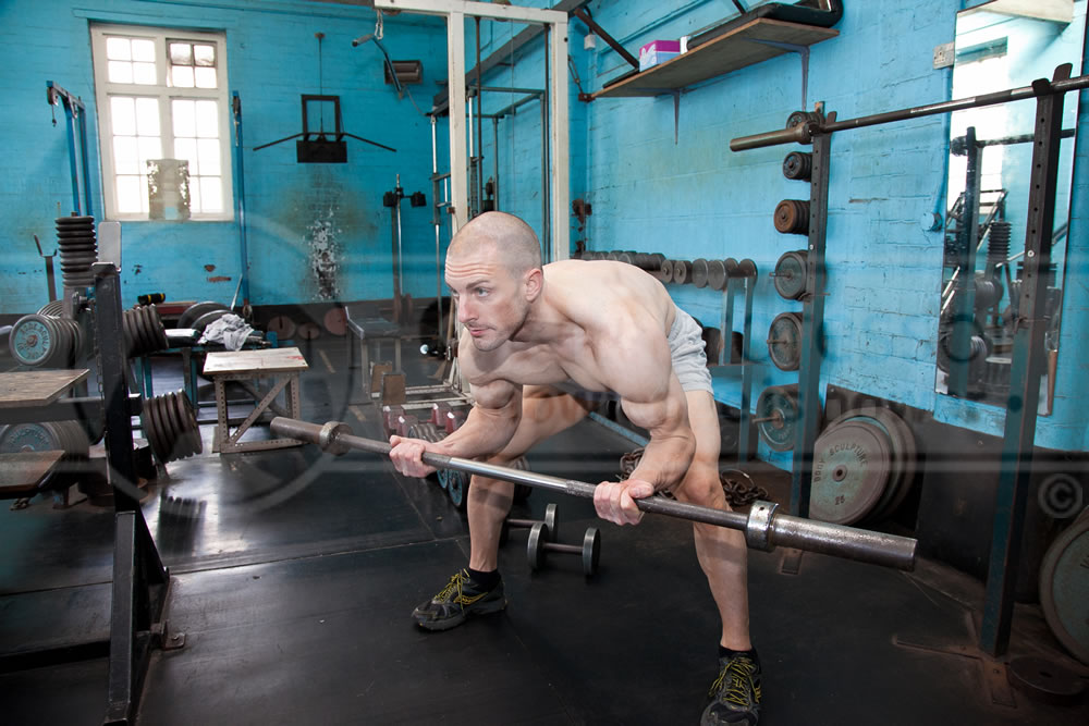 Bent-Over Barbell Curls