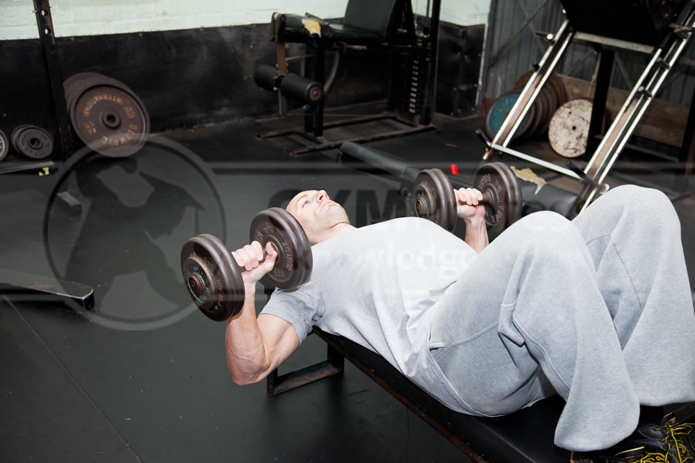 Dumbell Flat Bench Press