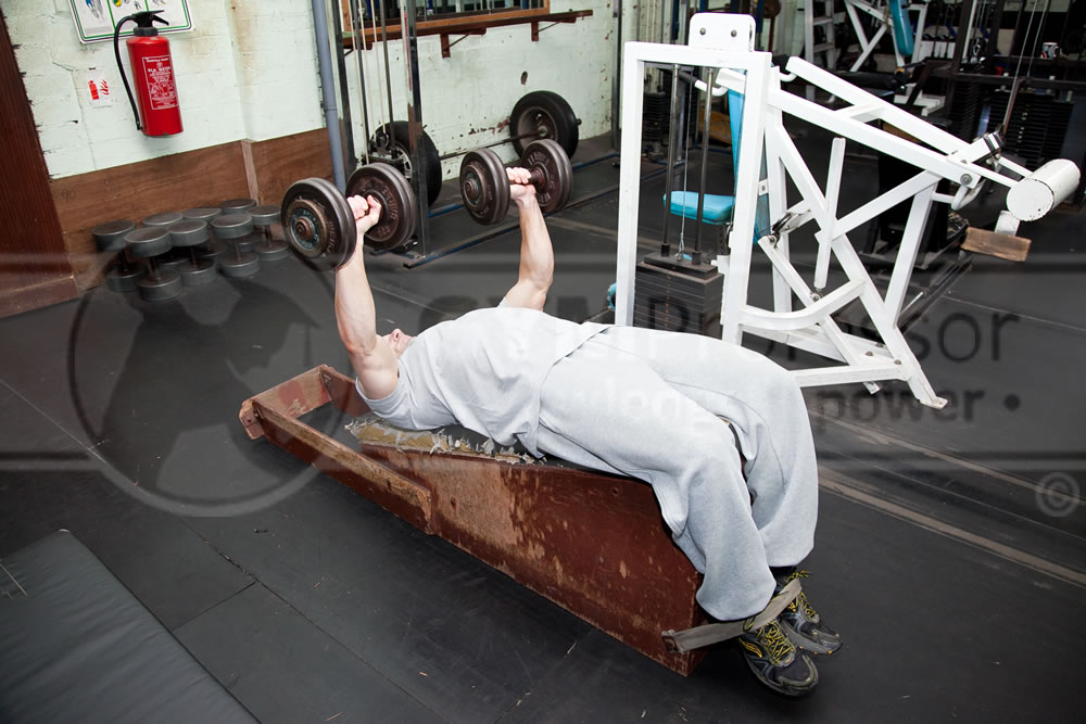 Dumbell Decline Bench Press