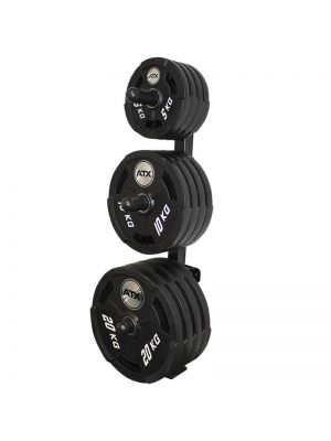 Wall-Mount Olympic Weights Tree
