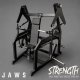 JAWS Strength Vertical Smith Chest Press 