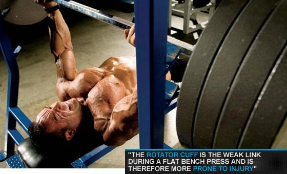 Bench Press